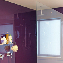 Frame less fixed panel shower screen.